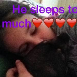 Meet your Posher, Grace